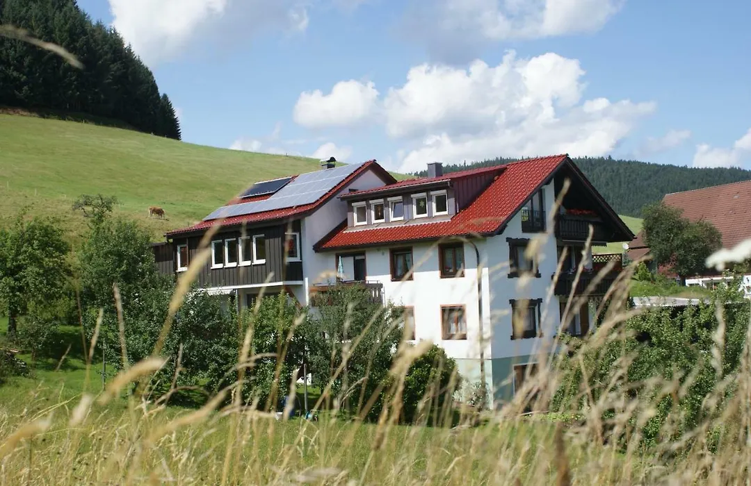 Pension Haus-Sommerberg-1