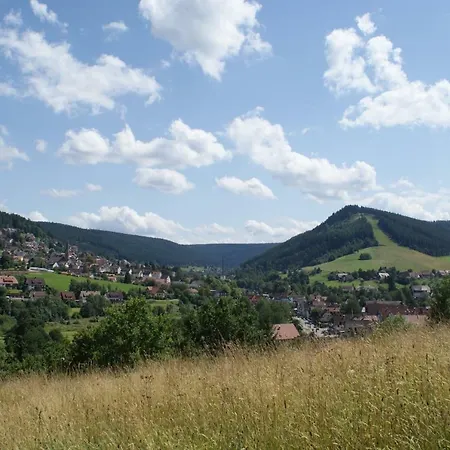 Pension Haus-Sommerberg-3